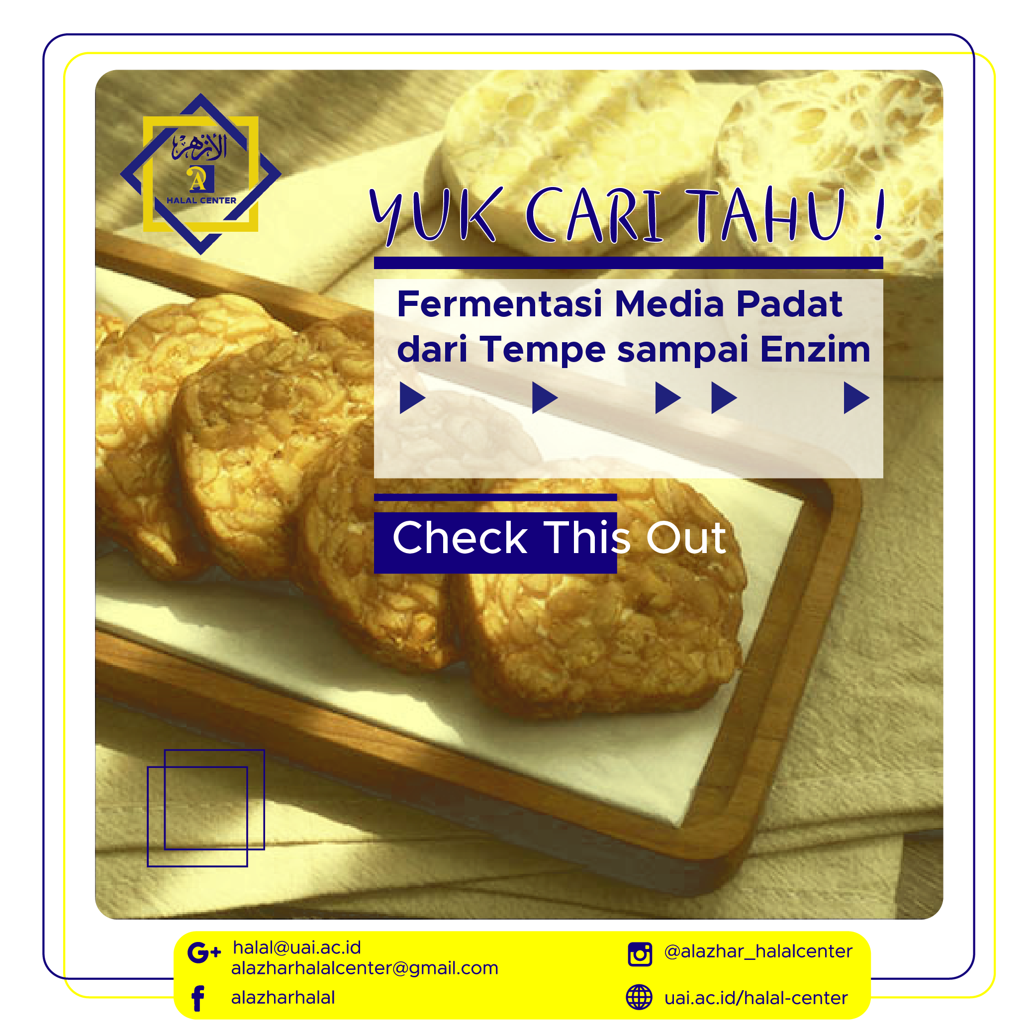 Fermentasi Media Padat Dari Tempe Sampai Enzim