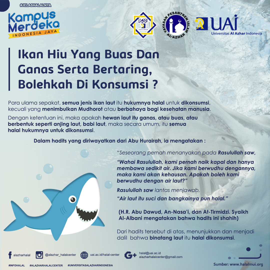 IKAN HIU YANG BUAS DAN GANAS SERTA BERTARING, BOLEHKAH DI KONSUMSI ?