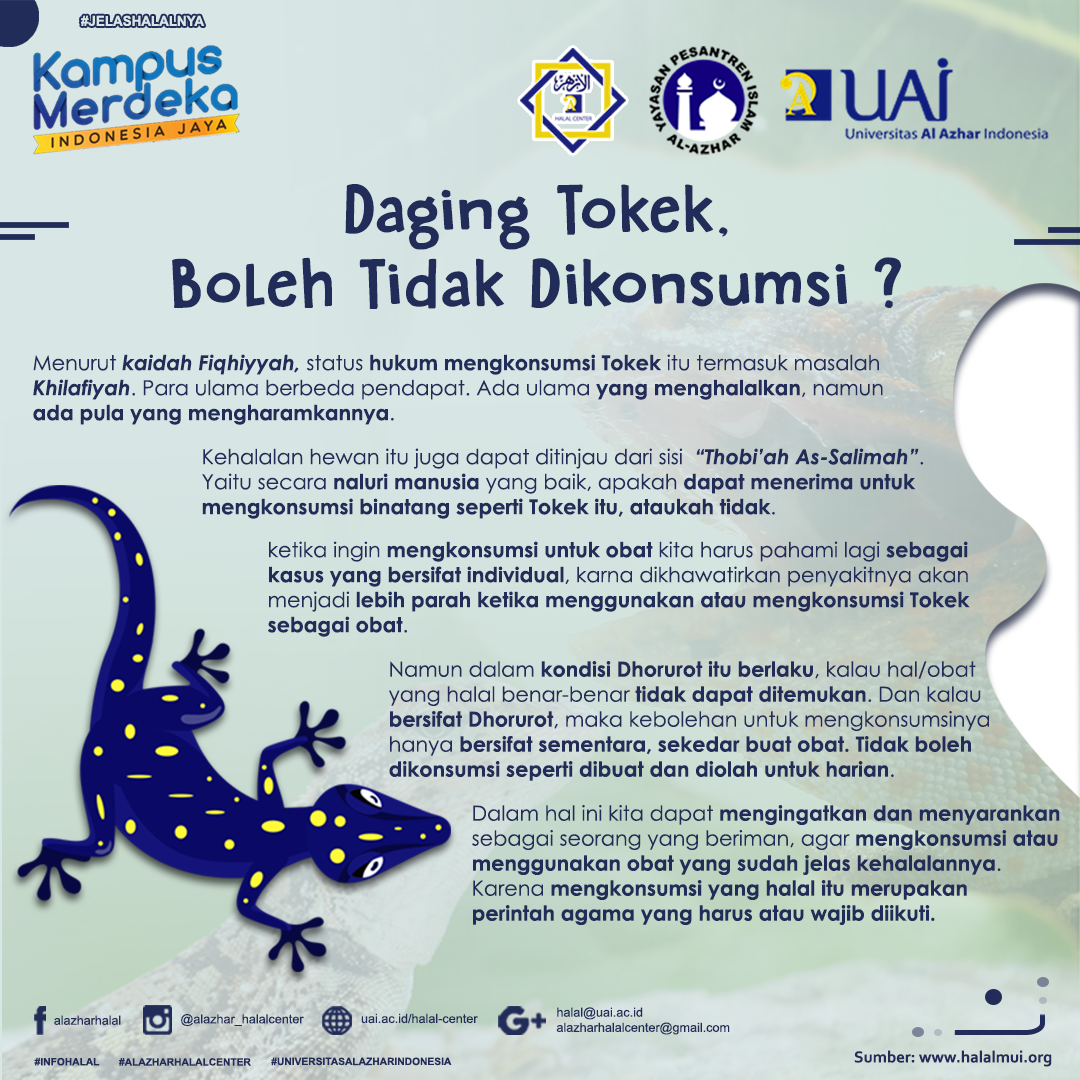 DAGING TOKEK, BOLEH TIDAK DIKONSUMSI ?