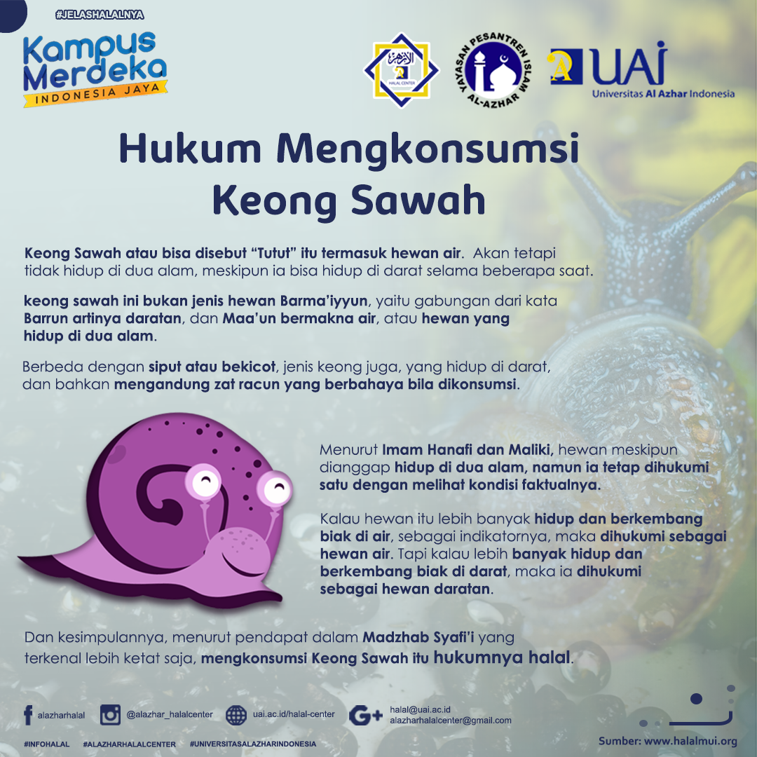 HUKUM MENGKONSUMSIKEONG SAWAH