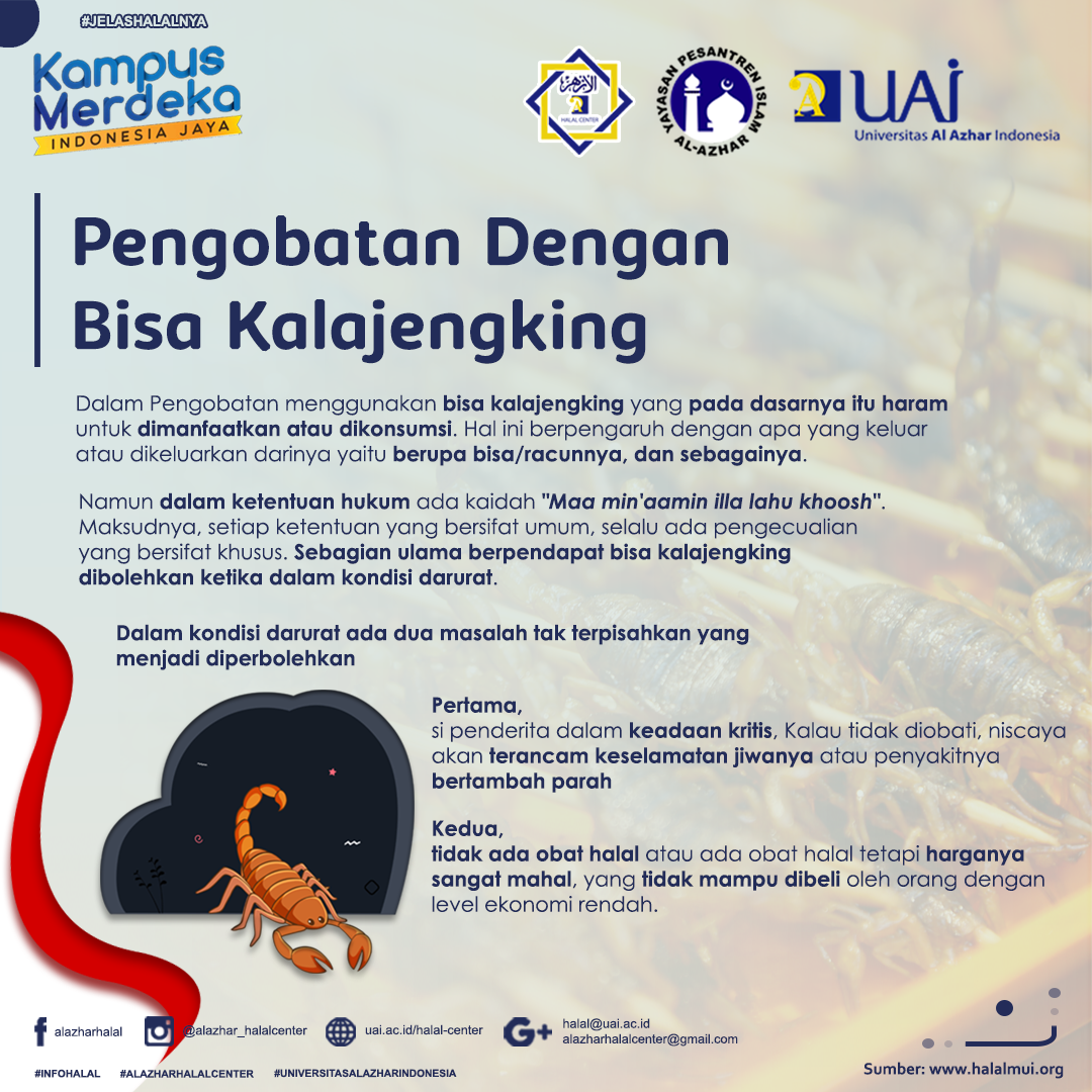PENGOBATAN DENGAN BISA KALAJENGKING