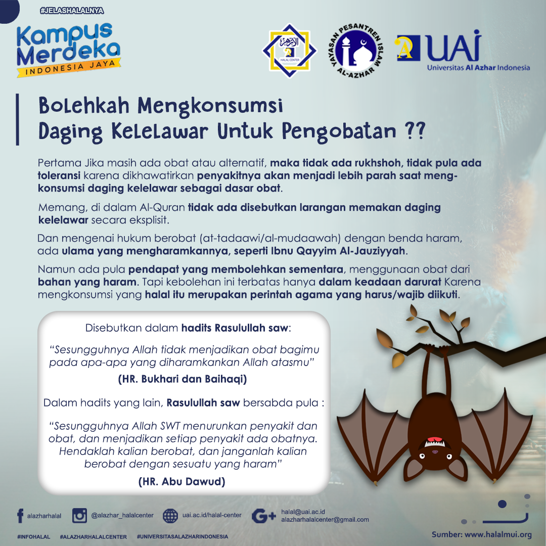 Mengkonsumsi Kelelawar Untuk Pengobatan,Bolehkah ??
